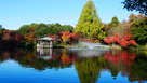 中の島の紅葉