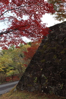 石垣と紅葉