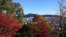 山頂から見た岐阜城…