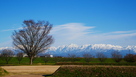 二の丸虎口からの雪の立山…