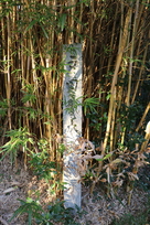 戸田城本丸跡の石碑