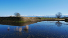 本丸と立山連峰…