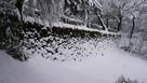 雪の土橋石垣