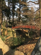 本丸と二の丸を繋ぐ木橋…