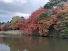 黒御門跡の内堀と紅葉