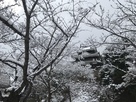 雪と櫓