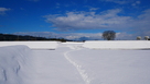 二の丸からの雪の本丸虎口…