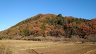 城址遠景