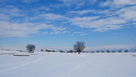 雪に覆われた城址…