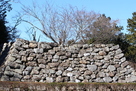 現存の石垣