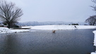 東側水堀と雪の本丸土塁…