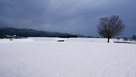 雪に覆われた二の丸と本丸土塁…