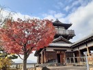 池田城櫓台と紅葉…