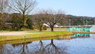 右郭と桜の木