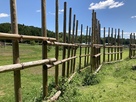 設楽原の馬防柵…