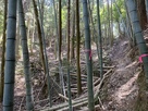 竹藪を突き進む登城道