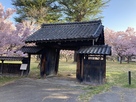 高遠城　旧大手門と満開の桜…