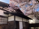 高遠城　江島囲み屋敷と満開の桜…