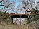 堀底から見上げる桜雲橋と桜…