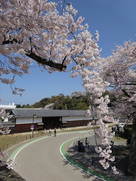 京橋口門跡からの眺め…