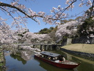 春の大手御門跡の風景…