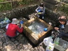 加賀野八幡神社の自噴名水…