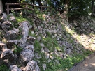 辰巳櫓の石垣