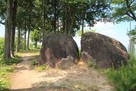 黍生城 主郭に残る巨石