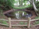 鐘掘り池