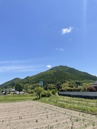 高城山の眺め