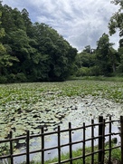 姥ヶ池