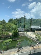 歴史博物館から高知城を望む…