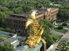 金鯱とミライザ大阪城…