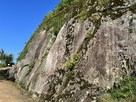 坂下門脇の岩壁…