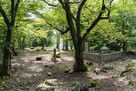 桜の馬場跡