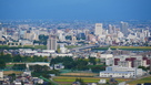 展望台からの富山城…