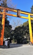 川越氷川神社の大鳥居…