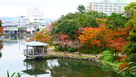 中の島の紅葉