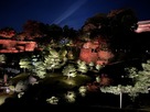 玉泉院丸庭園のライトアップ…