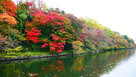池の端壕と紅葉…