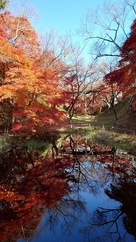 内堀にある池と紅葉…