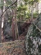 西尾根の大岩の登城道