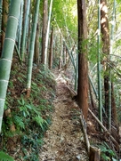 田間神社裏の登城路