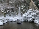 早朝の兼六園にて、噴水としぶきで凍った雪…