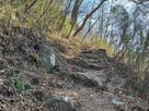登城道の石階段…