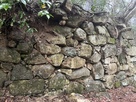 本城の石垣