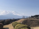 岱崎出丸の櫓台と富士山…