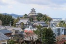 掛川古城から見た掛川城