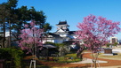 早咲きの桜と模擬天守…