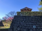 福井城天守台下段の石垣と福の井…